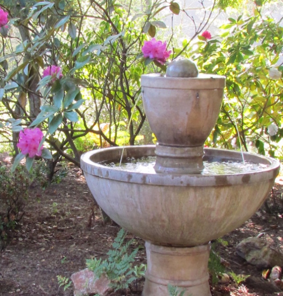 St Andrew Garden Rental